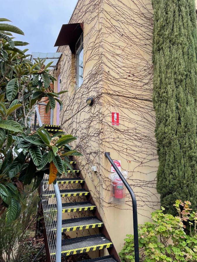 The Albion Motel 卡斯尔梅恩 外观 照片